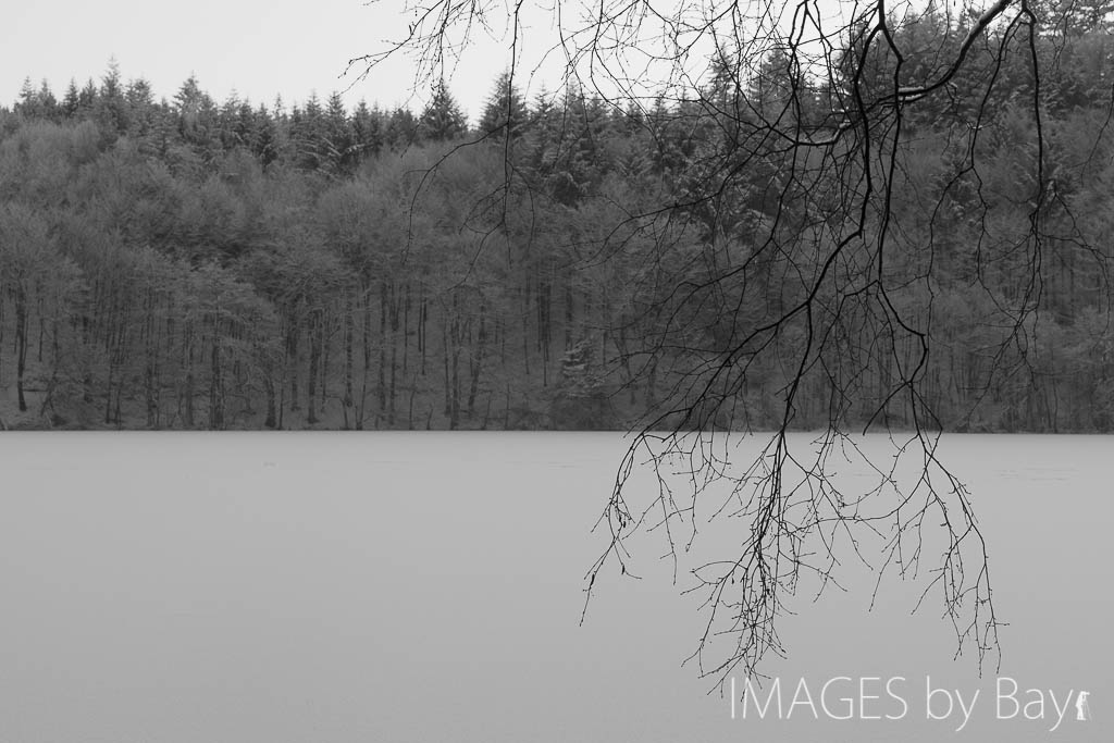Frozen Danish Lake