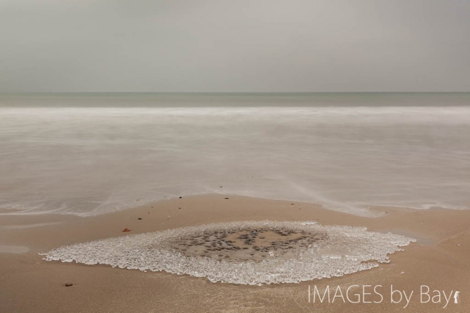 Winter on Beach