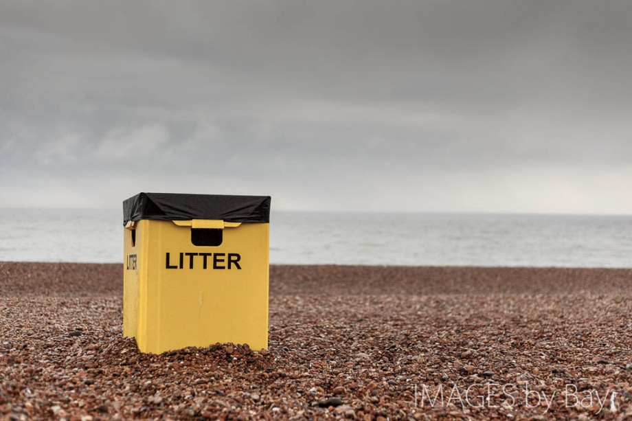 Litter Box Brighton Beach