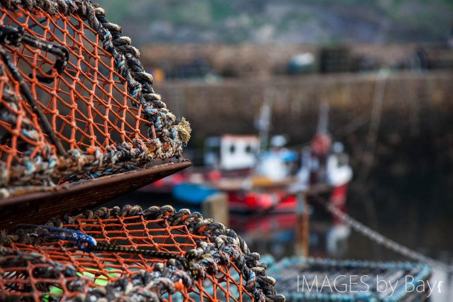 Small Scottish Harbour