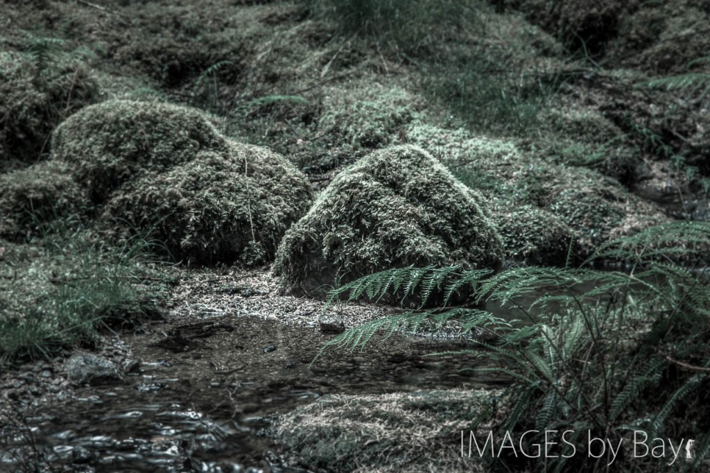 Small Stream