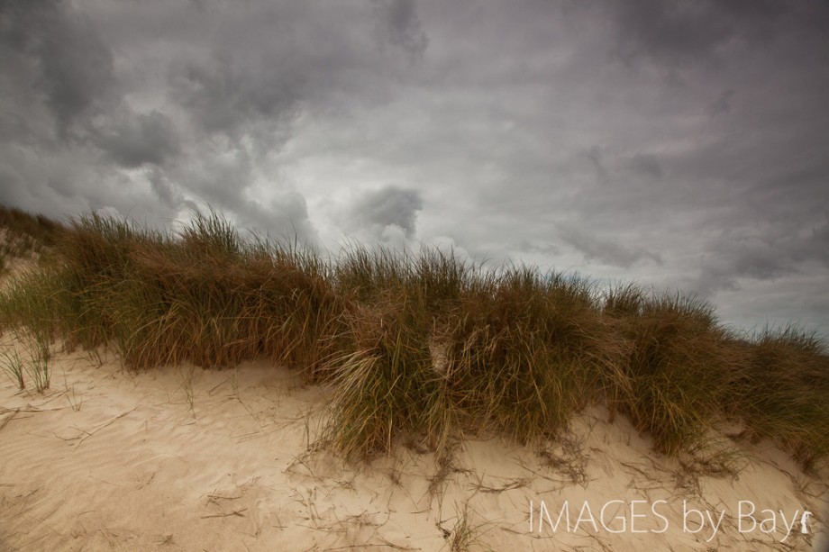 Image of Sand Dunes Canon 24-105mm
